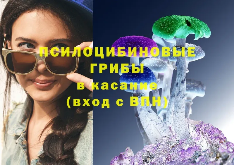 купить   Островной  Галлюциногенные грибы Psilocybine cubensis 